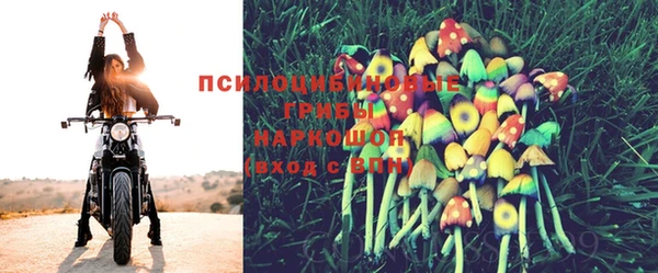 бутират Майский