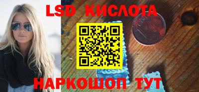 шишки Кингисепп
