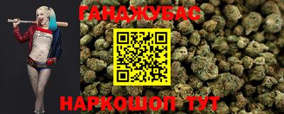 шишки Кингисепп