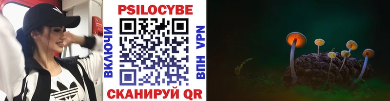 Псилоцибиновые грибы MAGIC MUSHROOMS  Новокубанск 