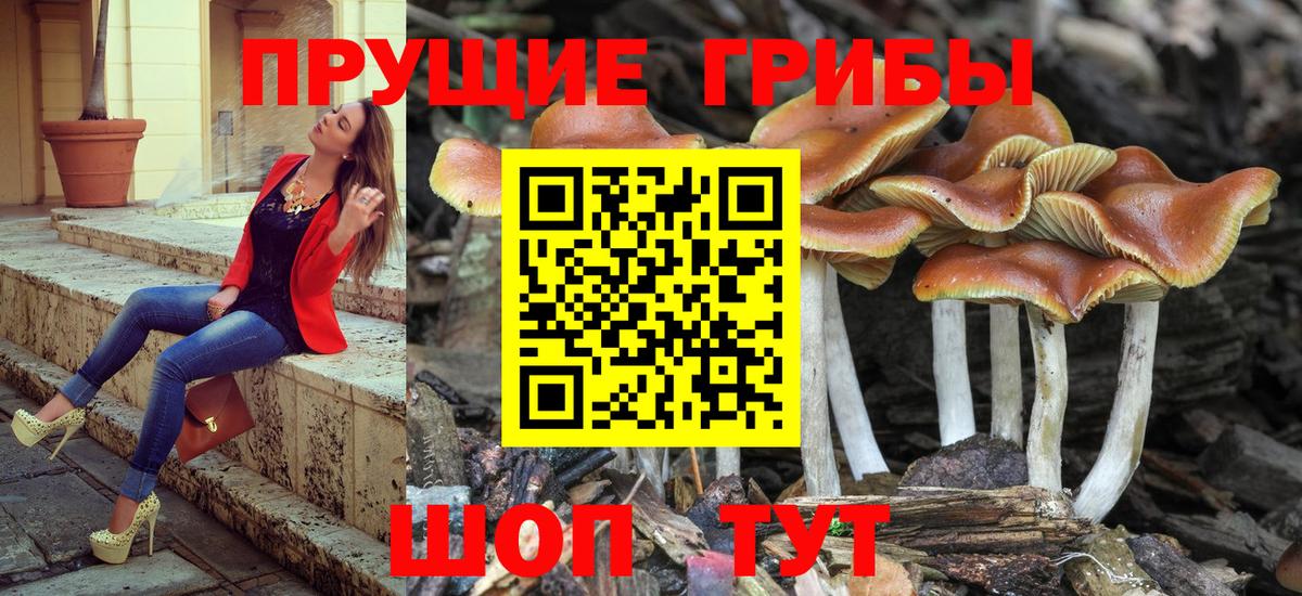 Галлюциногенные грибы прущие грибы  Вход с VPN  Новокубанск 