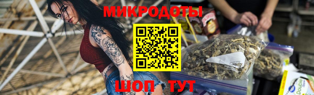 Галлюциногенные грибы Cubensis  Галлюциногенные грибы Psilocybe  Новокубанск 